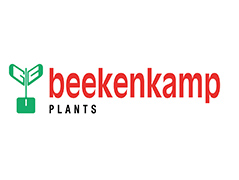 Beekenkamp Plants