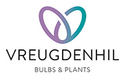 Vreugdenhil Bulbs Plants